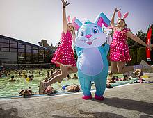 ✨ Świętuj Wielkanoc w wielkim stylu