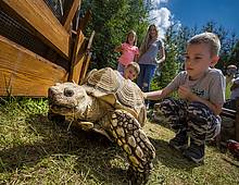 ZOOKONTAKT Tatralandia
