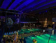 🪩Tropical Paradise comes alive after dark!